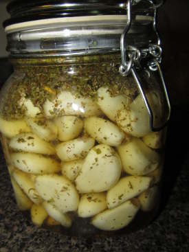 fermenting garlic with oregano