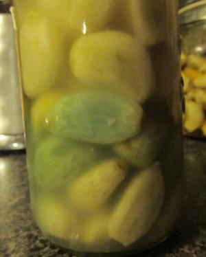 green fermented garlic